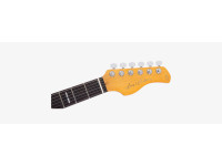 Larry Carlton J3 Silver Larry Carlton J3 Silver